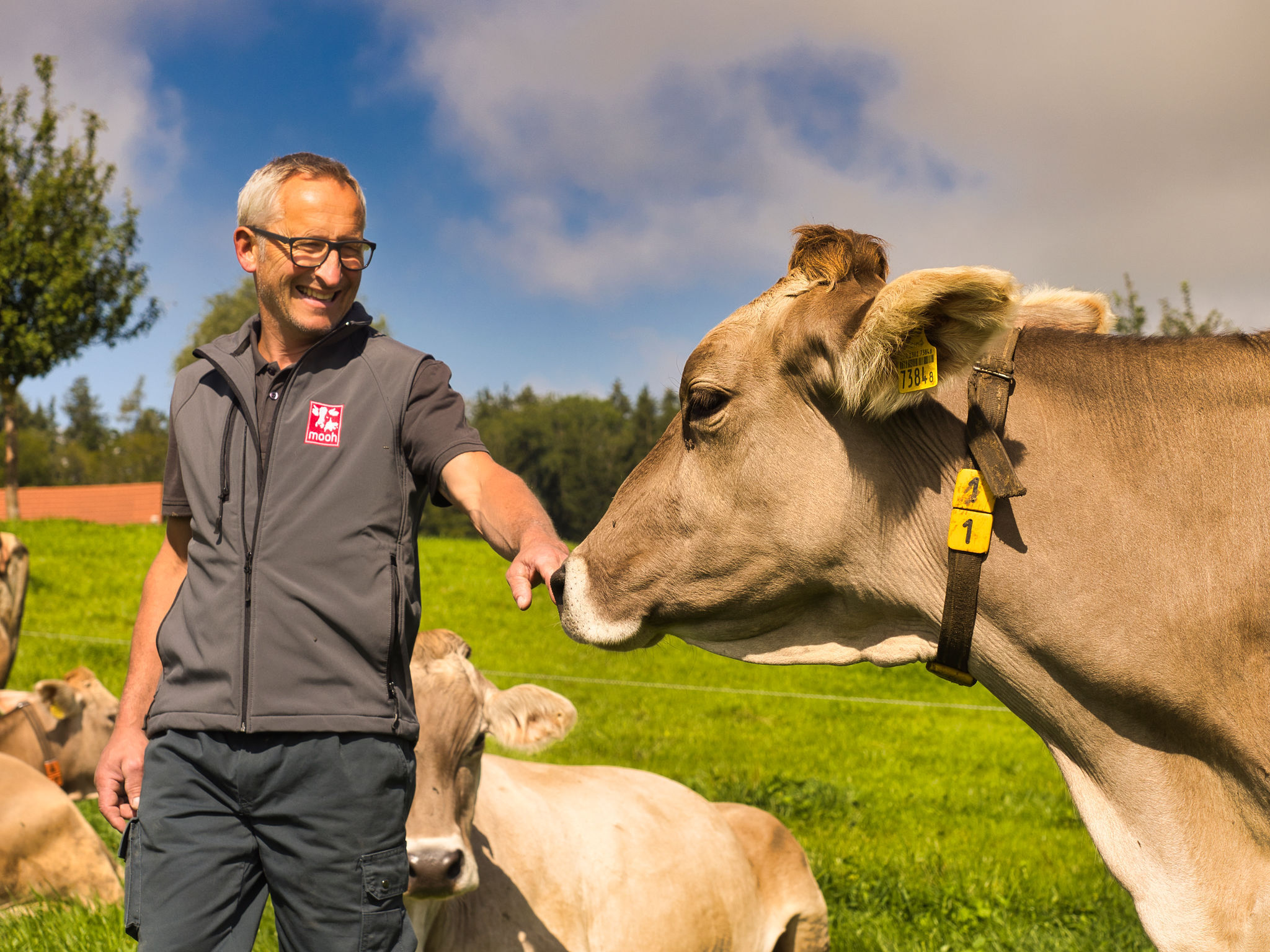 Hans mit Kuh