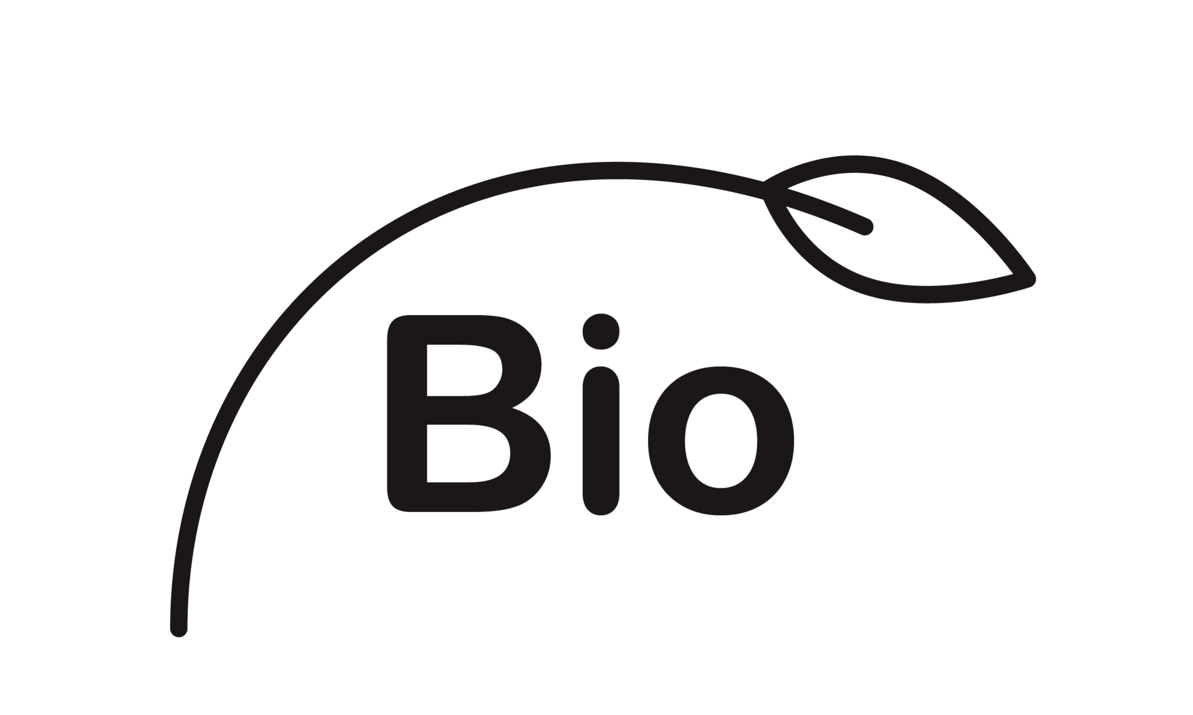 Bio