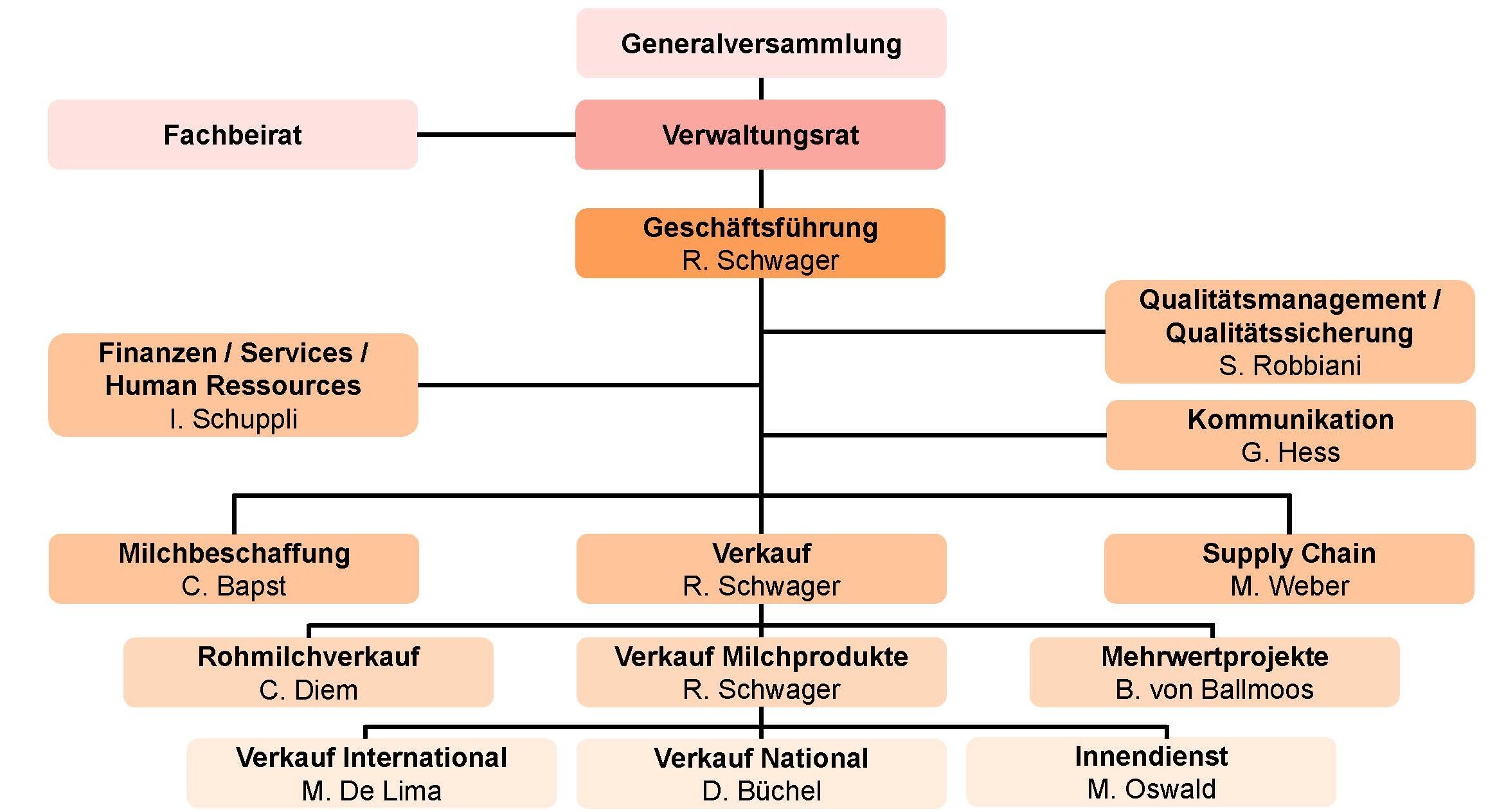 Organigramm ab 012026 DE