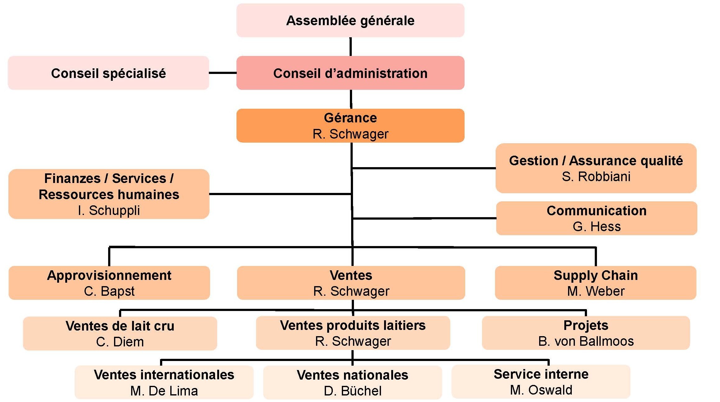Organigramm ab 012026 FR