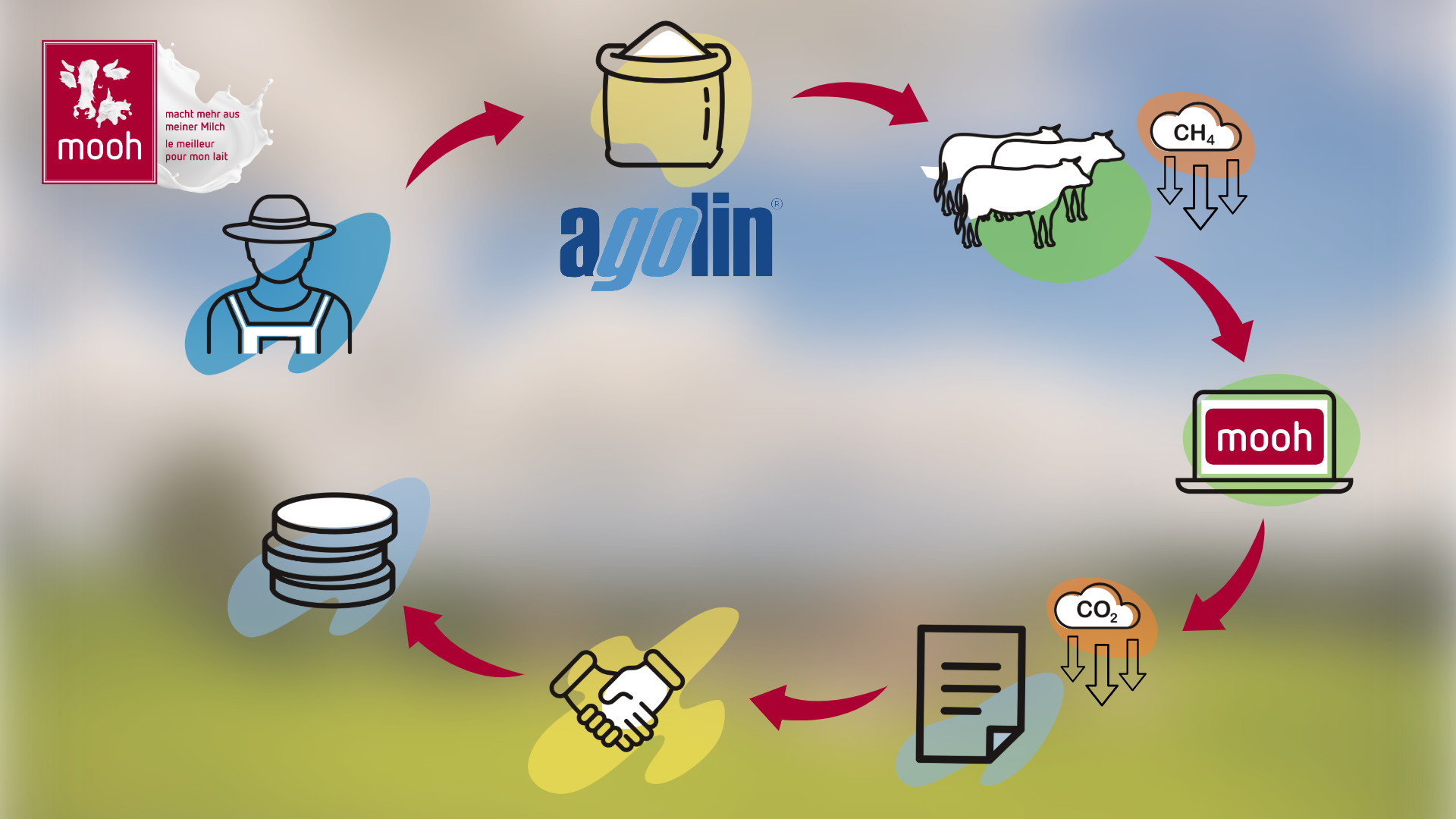 Klimaprogramm grafik